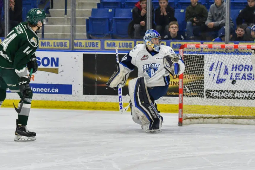 Blades close out homestand with shootout loss to Everett