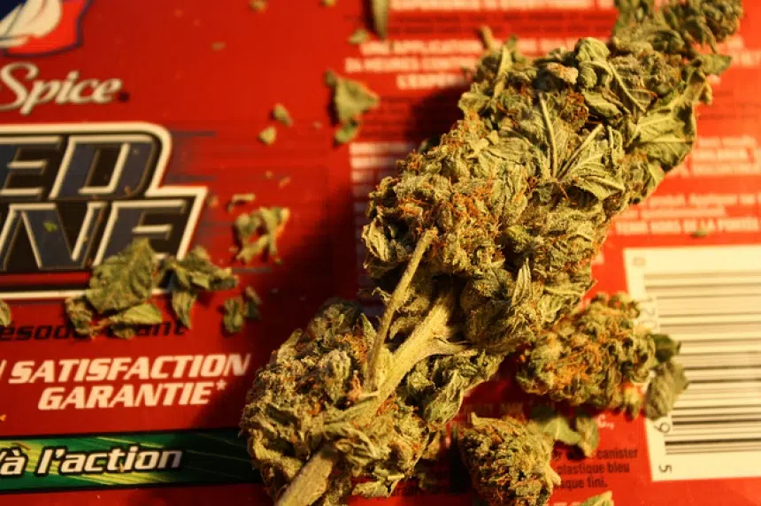 Marijuana dispensary rules needed in Saskatoon, advocate