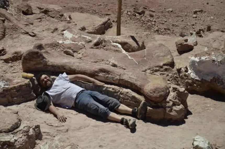 Gigantic dinosaur on display at American Museum of Natural History