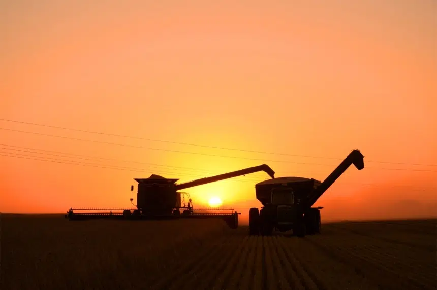 Warm weather welcomed by farmers in Sask.