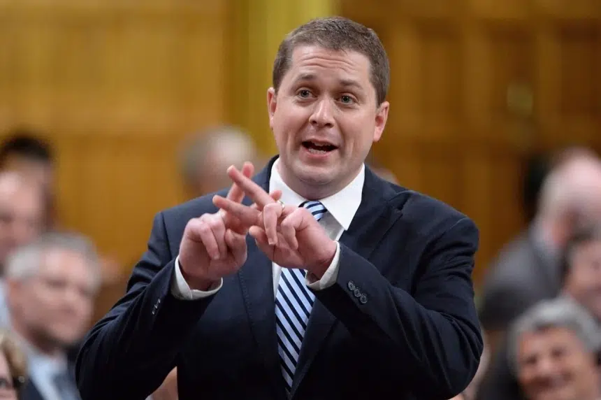 Regina MP Andrew Scheer running for Conservative leadership