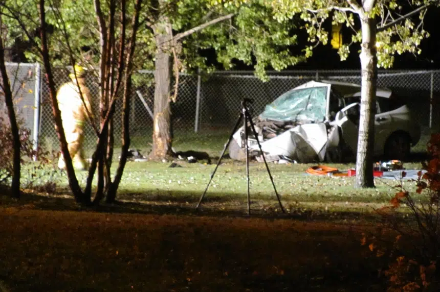 Car hits tree in fatal Regina crash