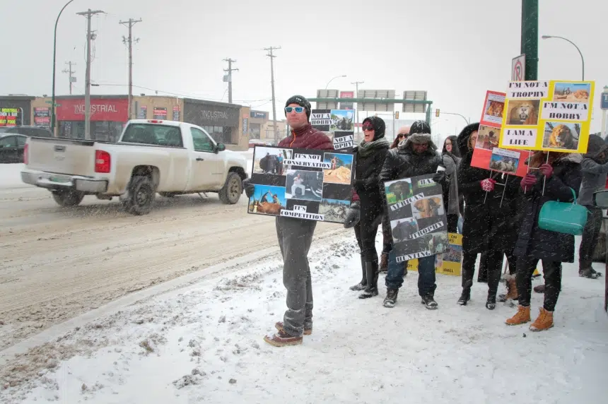 Protesters picket Saskatoon Safari expo