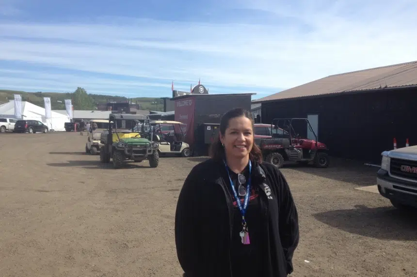 Craven organizers are pleased with event so far
