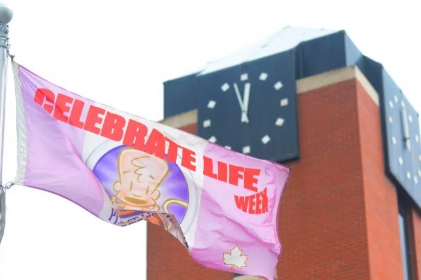 Protestors demand pro-life flag be removed from P.A. City Hall