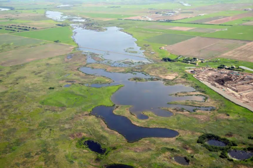 Canadian prairie grasslands shrinking faster than rainforest