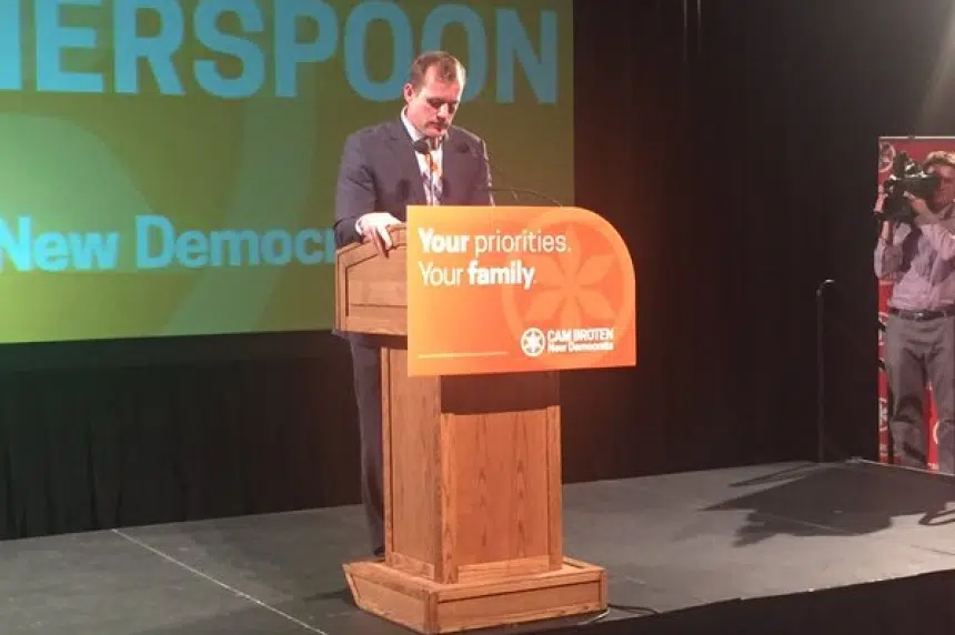 Regina battlegrounds: Sask. Party wins 7, NDP holds on to 4