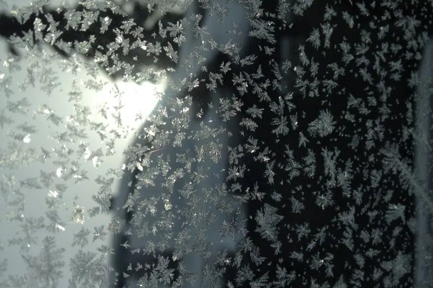 Saskatchewan sees record-breaking frost