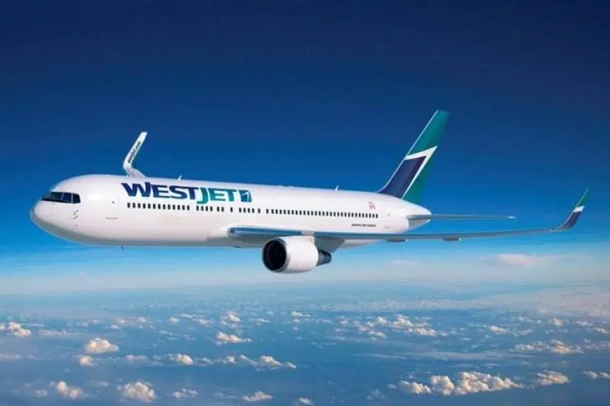 Saskatoon man fined for stealing megaphone from WestJet plane