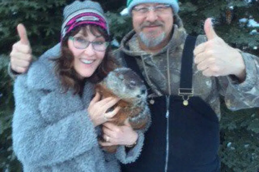 Sask.'s unofficial groundhog Whelan Woody predicts early spring