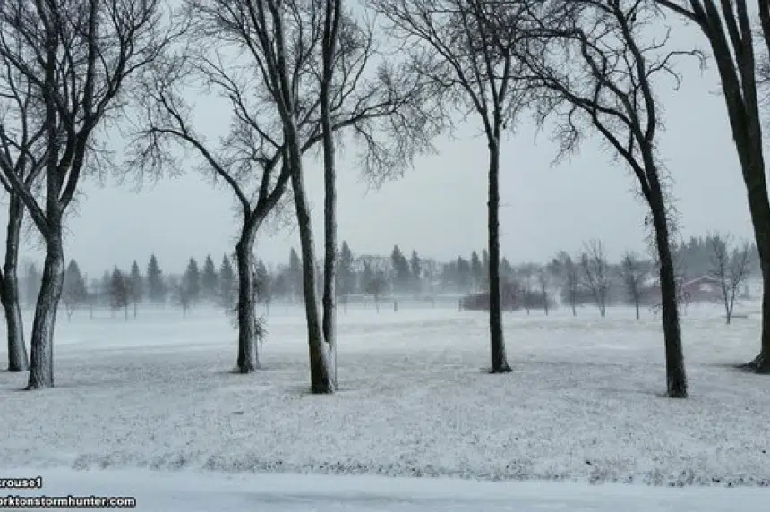 High winds and snow create poor driving conditions across southern Sask.