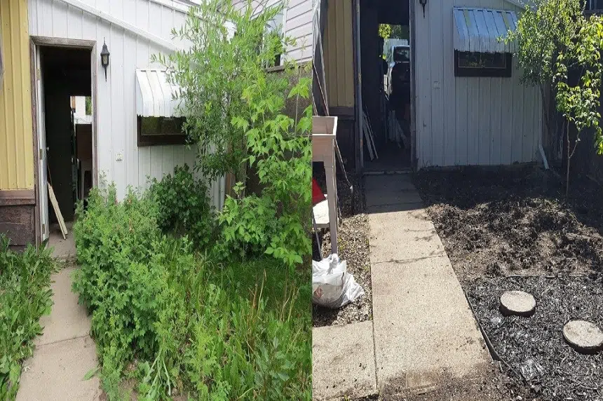 Neighbours step up to beautify Saskatoon woman's backyard