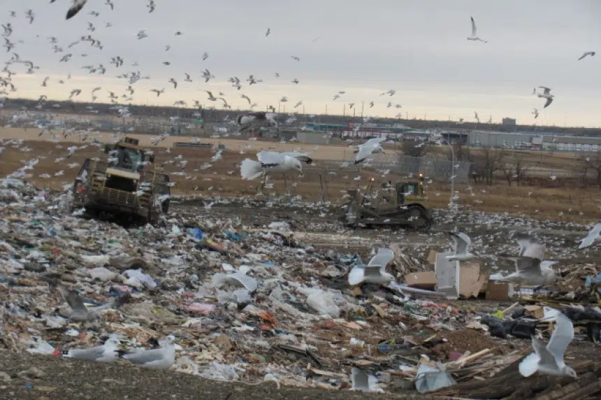 City collecting hazardous and yard waste in Regina