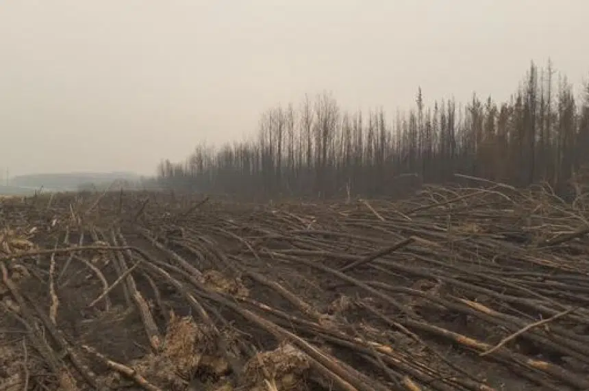 Partial reopening of Hwy 2 shows Sask. wildfire devastation