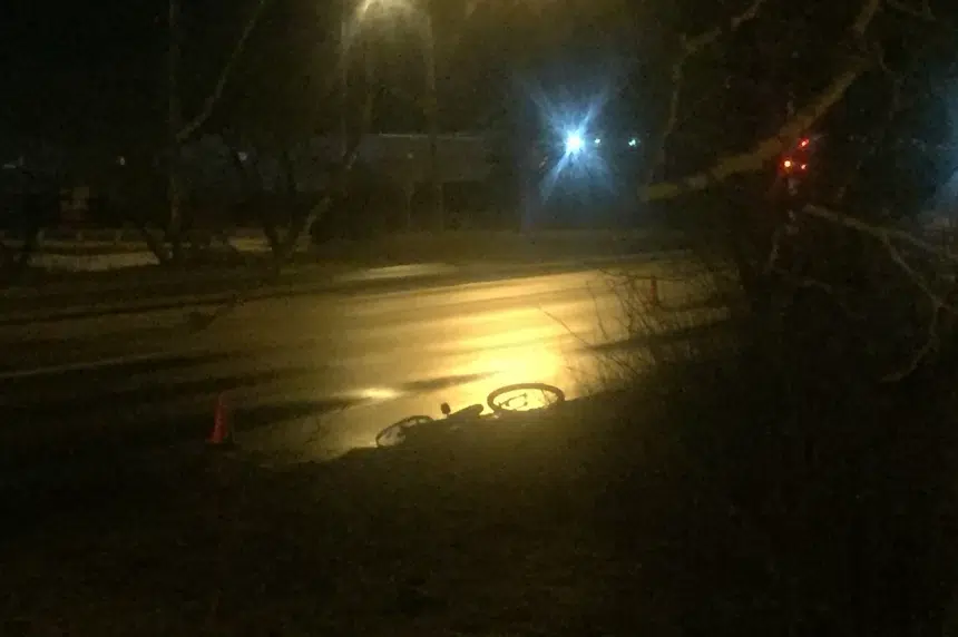 Regina police release details of vehicle involved in fatal hit and run