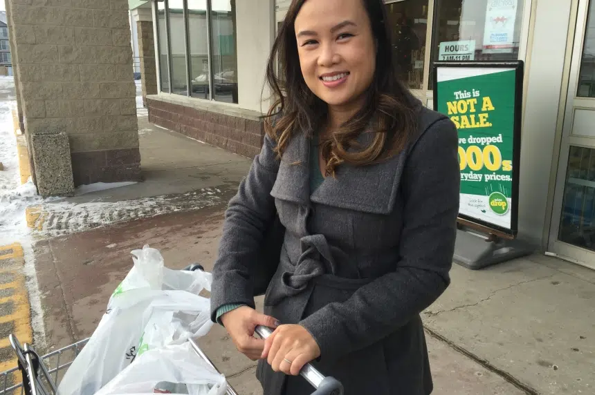 'Worth the effort:' Sask. mom’s tips for cutting grocery bills amid rising food costs