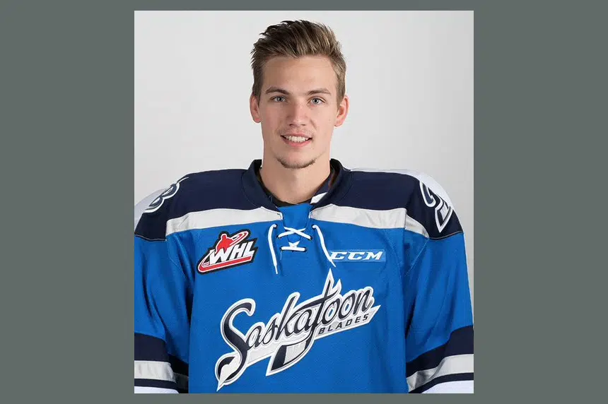 Blades aquire Logan Flodell from Seattle