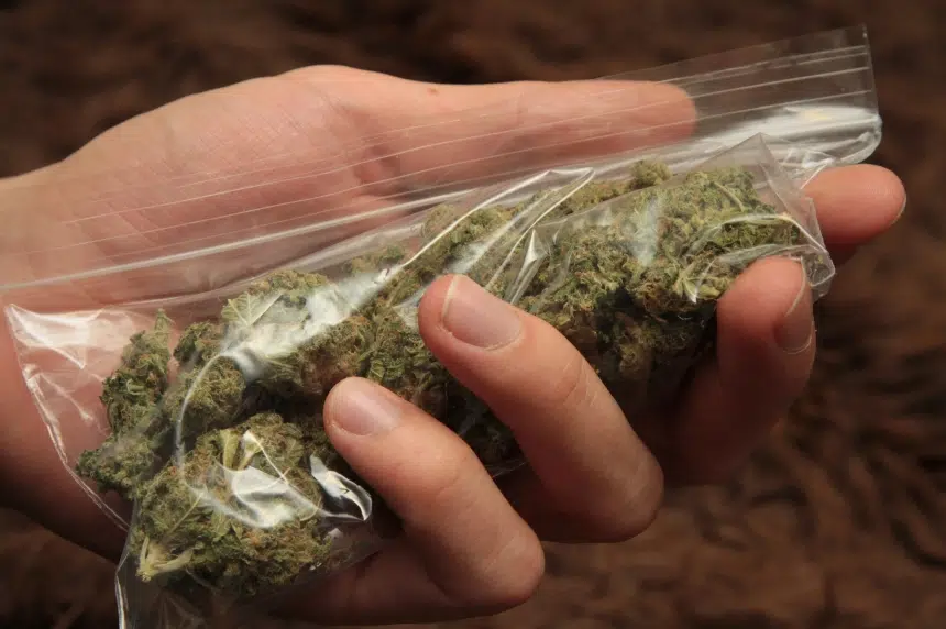 Regina police also expect fewer possession charges as marijuana legislation nears