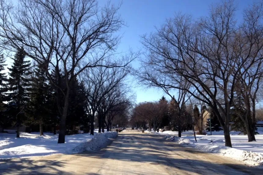 Warmer temperatures returning to Regina after coldest weekend of the year