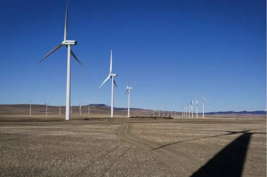 Birds block wind energy project near Chaplin, Sask.