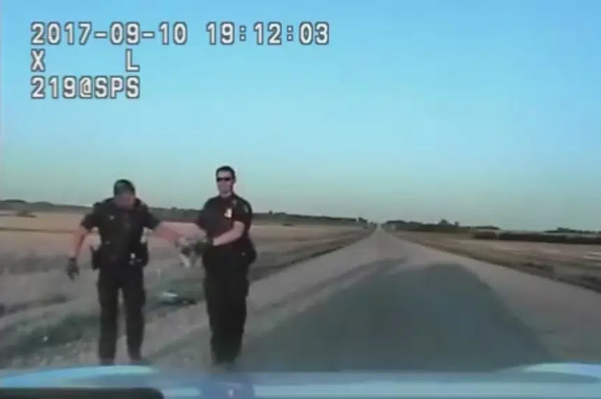 'It's enormous’: Dashcam video shows police capturing snake