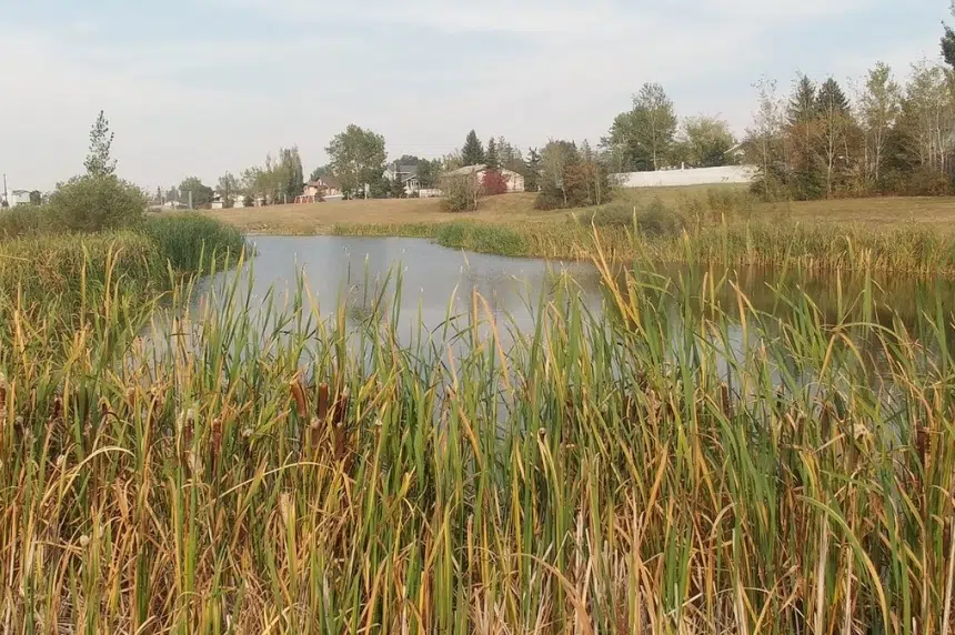 Pond safety review recommends partial fence for Dundonald park