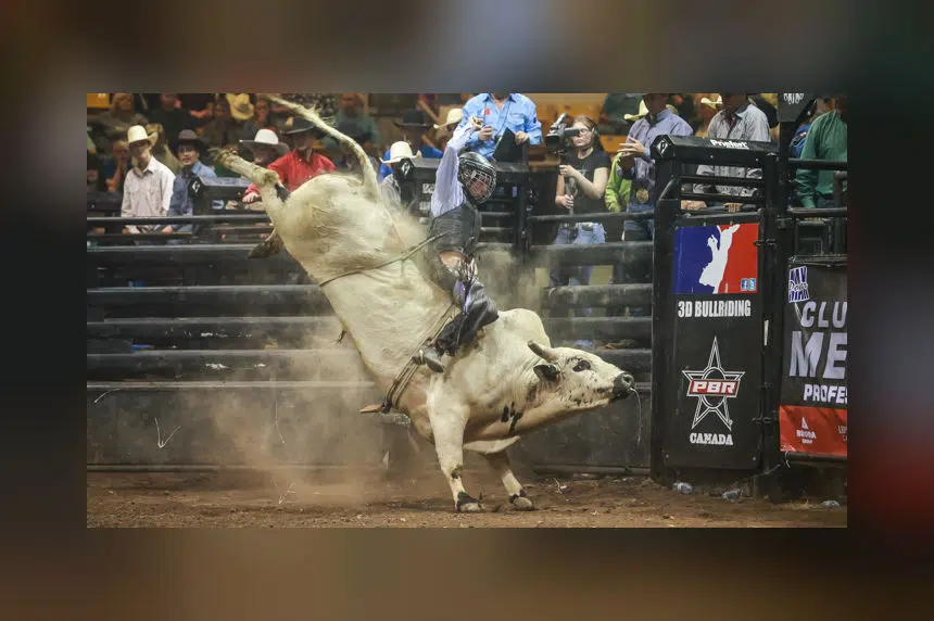 Professional Bull Riders back in Saskatoon