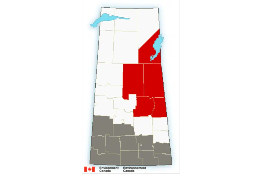 Snowfall warnings issued for parts of Saskatchewan