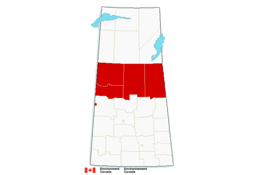 Snowfall warnings issued for Northern Sask.