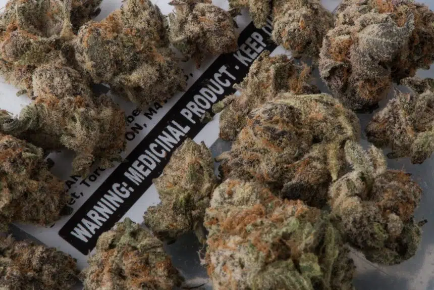 Statistics Canada estimates the cannabis market in 2015 worth as much as $6.2B