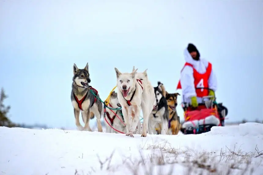 Man begins dog sled journey across Canada:'We’re going to face some adversities'