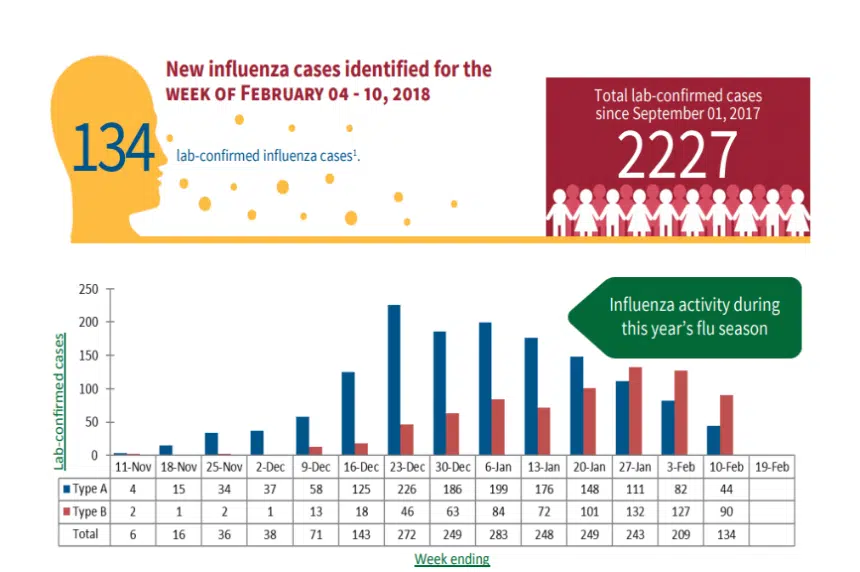 Saskatchewan flu numbers nearly double in last month 