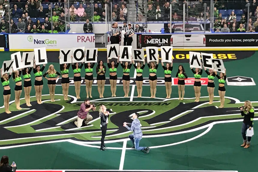 Marriage proposal a 'rush' for NLL fans 