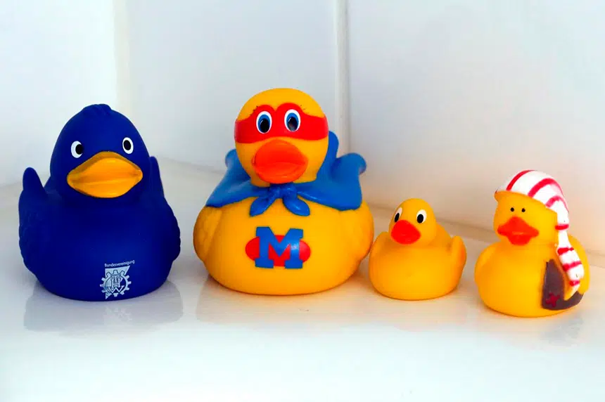 Yucky ducky? Study reveals bath-time friends’ dirty secret
