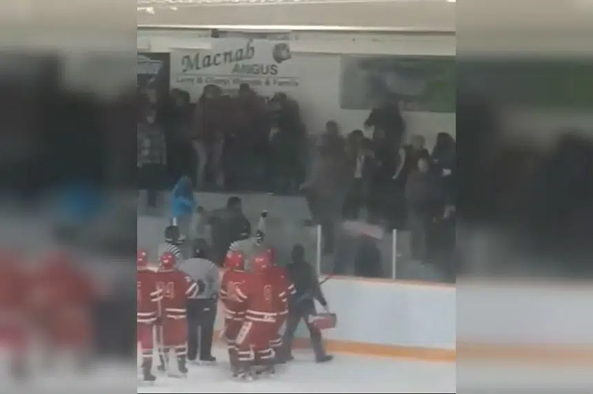 Fan brawl breaks out at Sask. hockey game