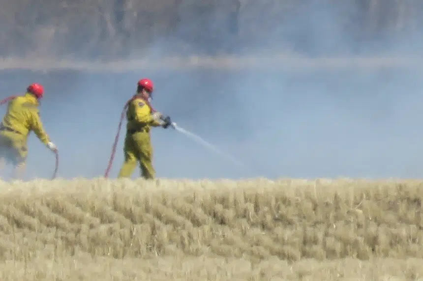 Conditions ripe for grass fires in Sask.: asst. fire chief