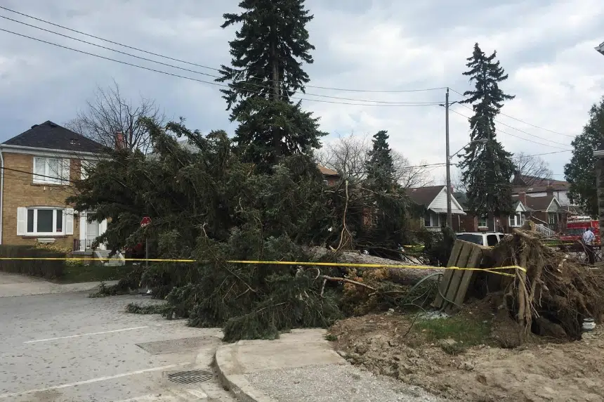 Third person dies as a result of destructive wind storm in Ontario