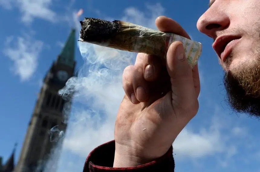 Government rejects 13 Senate changes to pot bill, including ban on home growing
