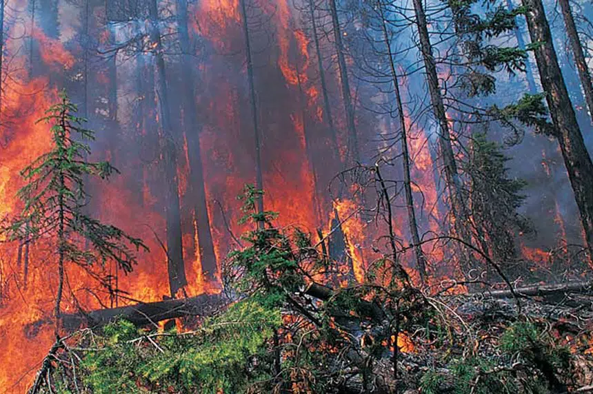 Heat wave sparks conditions for Sask. wildfires