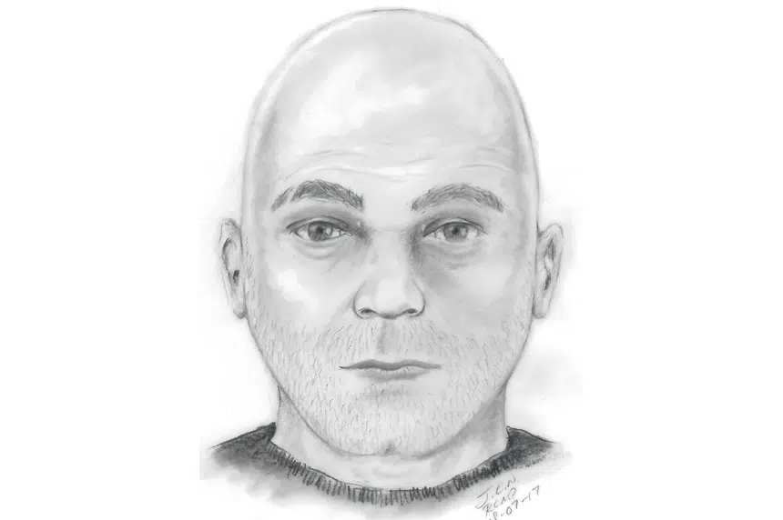 RCMP release sketch of person of interest in sexual assault