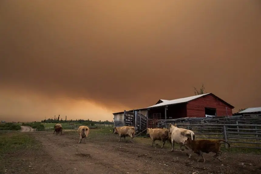 Smoke from B.C. wildfires prompts air quality advisories across Western Canada