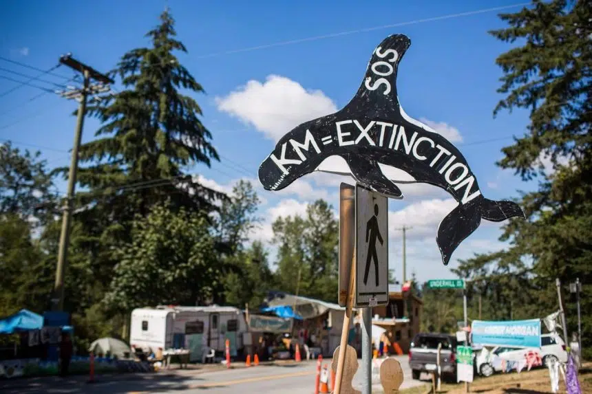 RCMP in Burnaby, B.C., say Kinder Morgan protest camp to be dismantled