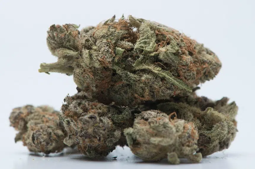 Health Canada’s marijuana education campaign ‘nuanced’, expert says
