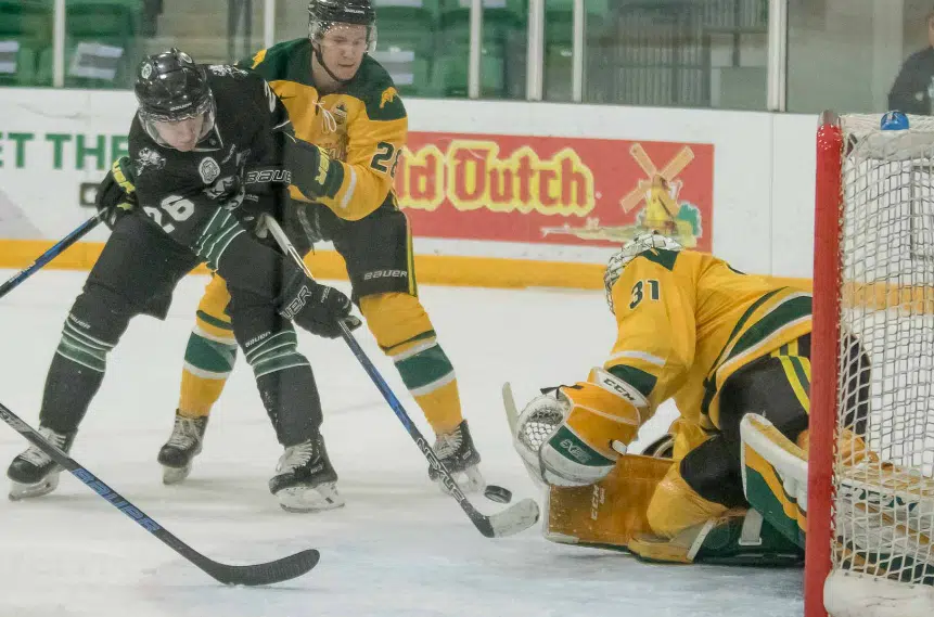 Huskies hound Cougars, stay unbeaten at Merlis Belsher Place