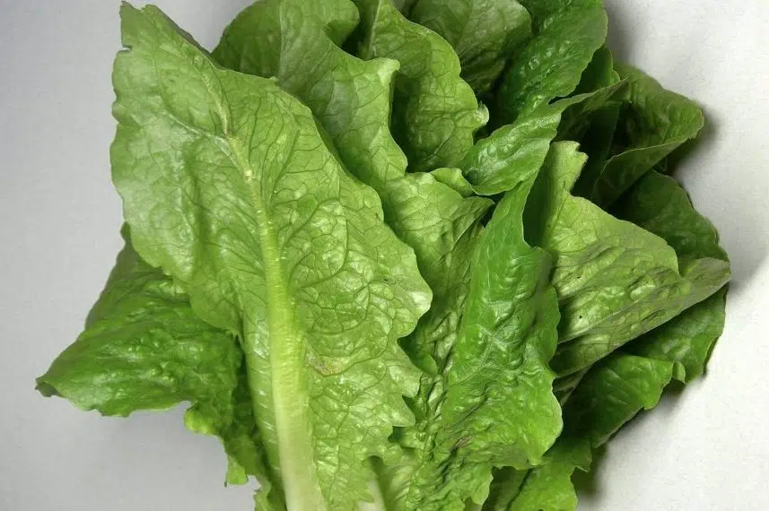 Health officials warn of romaine lettuce E.coli outbreak