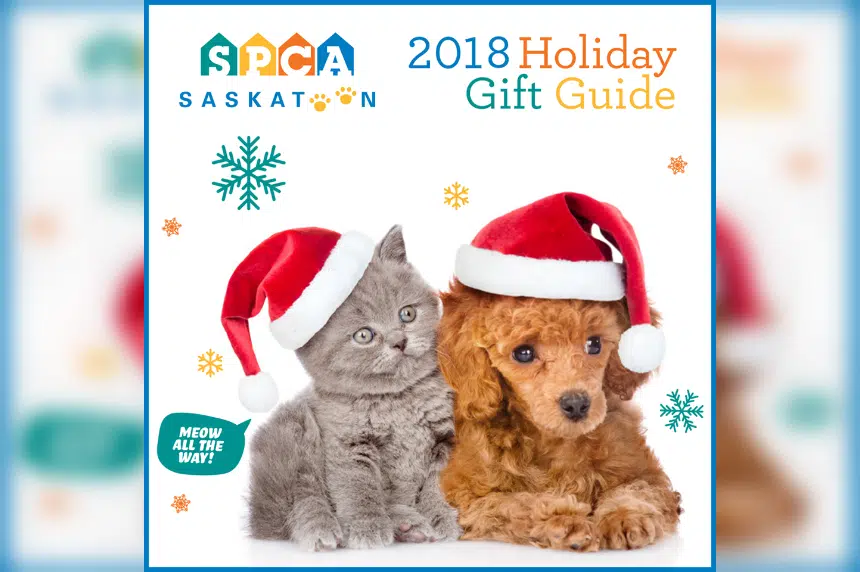 Saskatoon SPCA has Christmas list to help animals in care