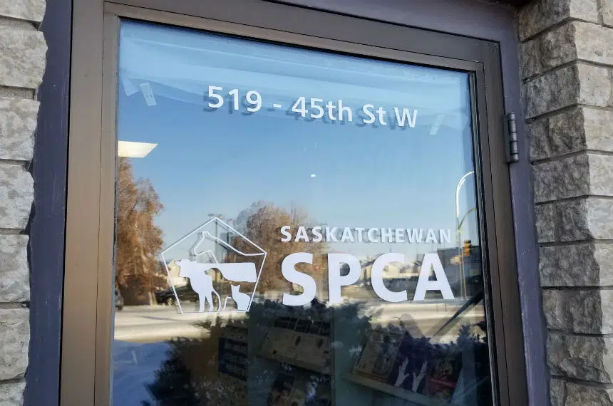 Sask. SPCA issues call for donations amid cold snap