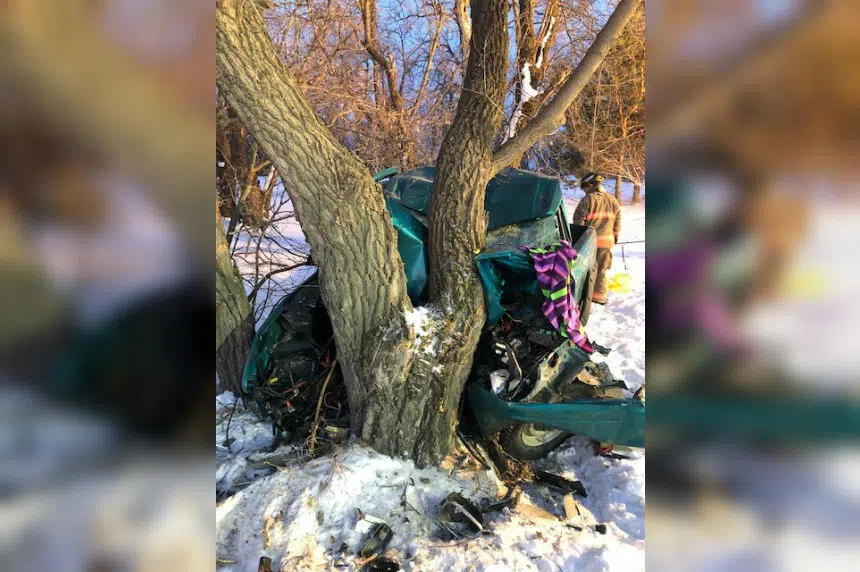 Man hospitalized after pickup truck hits tree near Clavet 