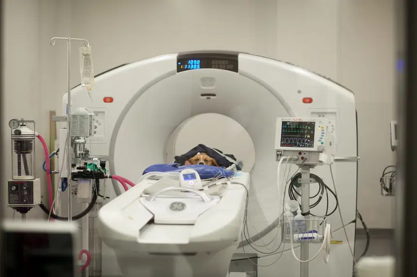 U of S vet school first in Canada to have PET-CT