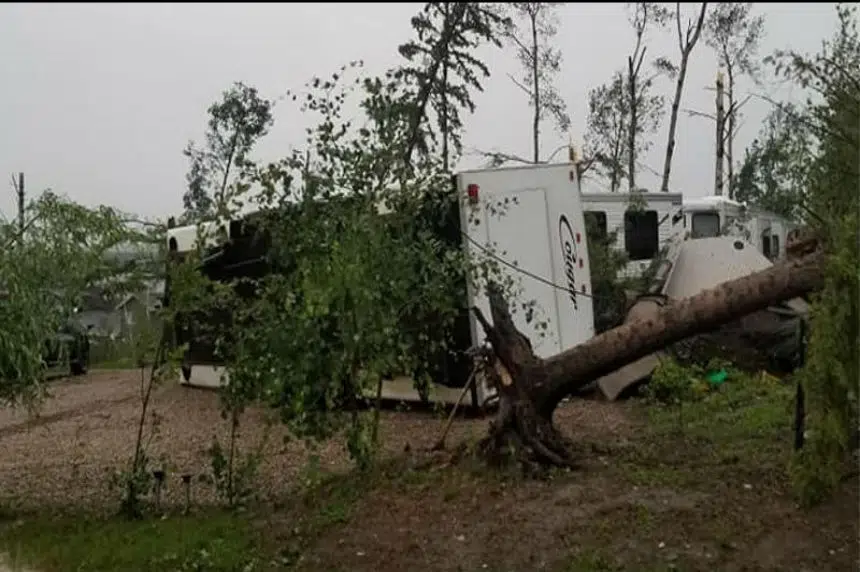 Summer storm leaves 'massive mess' in Meadow Lake Provincial Park